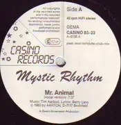 12'' - Mystic Rhythm - Mr. Animal