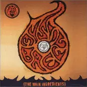 Mystic Brew - Main Ingredients