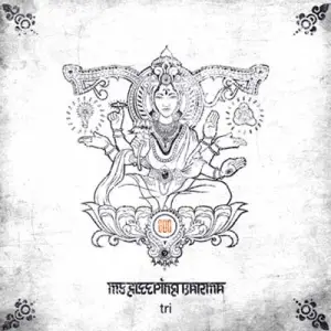 My Sleeping Karma - Tri