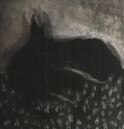 Mytrip & Evitceles - Protective