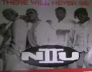 12'' - N II U - There Will Never Be