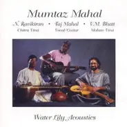 N. Ravikiran , Taj Mahal , Vishwa Mohan Bhatt - Mumtaz Mahal