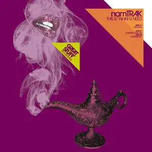 namTRAK - This Is What U Need