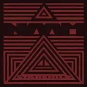 12'' - NAAM - BALLAD OF THE STARCHILD - THERE ARE VERY FEW BANDS IN THE KNOWN UNIVERSE TH