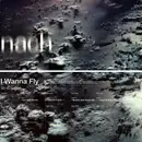 12inch Vinyl Single - Nach - I Wanna Fly