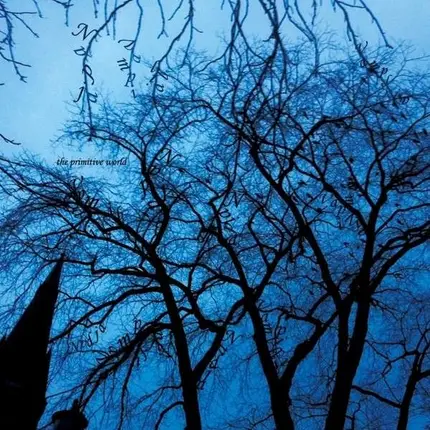 NADJA + VAMPILLIA - THE PRIMITIVE WORLD