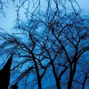 Nadja + Vampillia - THE PRIMITIVE WORLD