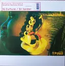 12'' - Nahawa Doumbia / Ibrahim Hamma Dicko - Fatien / Sida (Remixes)