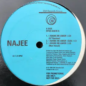 Najee - I Adore Mi Amor