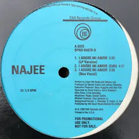 Najee - I Adore Mi Amor