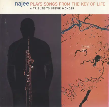 Najee - Plays The Songs From The Key Of Life (A Tribute To Stevie Wonder)