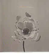 The Naked and Famous - In Rolling Waves