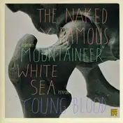 The Naked and Famous - Mountaineer