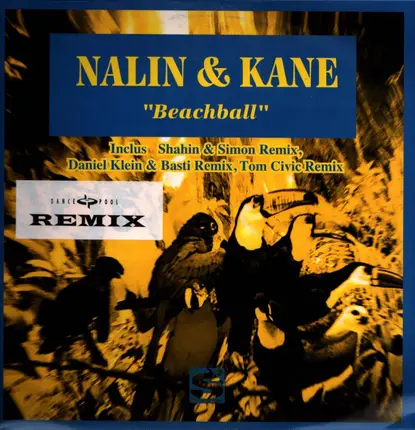 Nalin & Kane - Beachball (Remix)