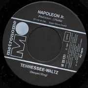 7inch Vinyl Single - Napoleon Jr. - Mein Ave Maria