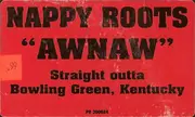 12inch Vinyl Single - Nappy Roots - Awnaw