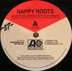 Nappy Roots - What Cha Gonna Do? (The Anthem)