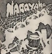 Narayana - Live At The Lab
