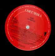 LP - Nas - Illmatic - PROD BY PREMIER, Q-TIP, PETE ROCK, LARGE PROFESSOR