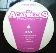 Nas - The Acapellas You Never Got! Volume Seven
