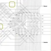 7'' - Nasum / Asterisk - Untitled / Dogma II : Colorless Green Ideas Sleep Furiously [24-31] - GRINDCORE