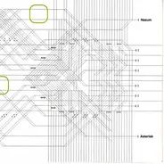 Nasum / Asterisk - Untitled / Dogma II : Colorless Green Ideas Sleep Furiously [24-31]