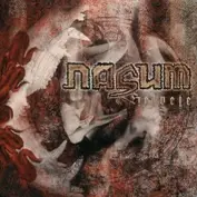 Nasum