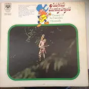Nashville Country Singers - Dreams Of An Everyday Housewife