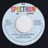 7inch Vinyl Single - Nashville Nine - Flakey The Astronaut