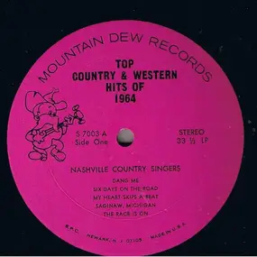 Nashville Country Singers - Top Country & Western Hits Of 1964