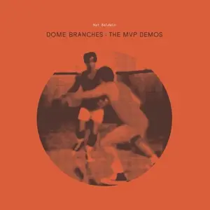 Nat Baldwin - Dome Branches: The Mvp Demos