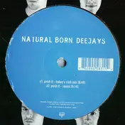 Natural Born Deejays - Push It