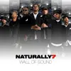 CD - Naturally 7 - Wall Of Sound