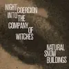 LP-Box - NATURAL SNOW BUILDINGS - NIGHT COERCION INTO THE.. - .. COMPANY OF WITCHES