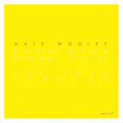CD - Nate Wooley - Knknighgh (Minimal Poetry For Aram Saroyan) - Still sealed