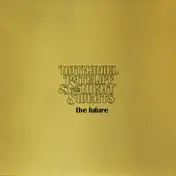 Nathaniel Rateliff & the Night Sweats - The Future