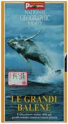 VHS - National Georgraphic Video - Le Grandi Balene - Italian
