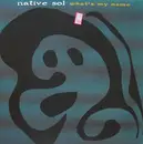 12inch Vinyl Single - Native Sol - What's My Name