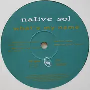 12inch Vinyl Single - Native Sol - What's My Name