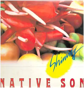 Native Son - Shining