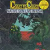 Double LP - Native Son - Coast To Coast (Live In USA)