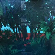 Double LP - Native Son - Coast To Coast (Live In USA)