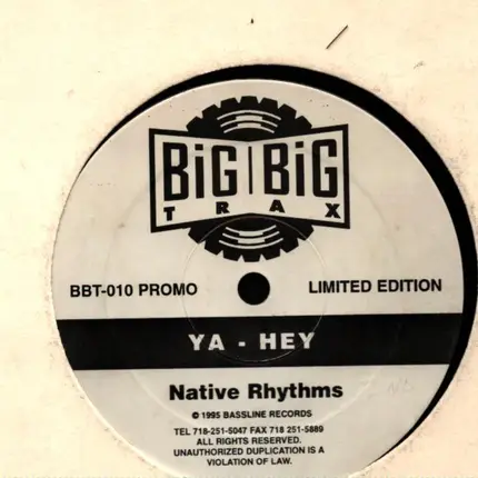 Native Rhythms - YA-HEY
