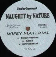 Naughty By Nature - Wifey Material