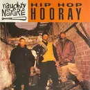 12inch Vinyl Single - Naughty By Nature - Hip Hop Hooray