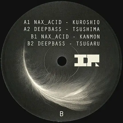 Nax_Acid / Deepbass - Depth Surroundings EP
