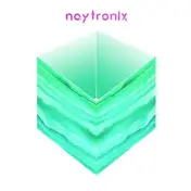 Naytronix - MR. Divine/Shadow (7inch)