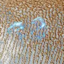 12inch Vinyl Single - Nguzunguzu - Mirage EP - Clear Vinyl