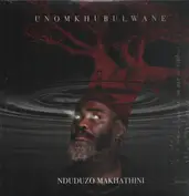 Nduduzo Makhathini