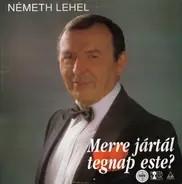 Németh Lehel - Merre Jártál Tegnap Este?